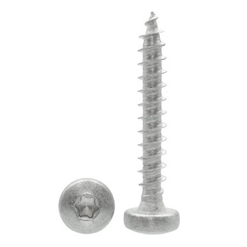 Линза с шурупом 4x20 A2 Torx 10 шт.