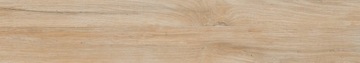 PŁYTKI DREWNOPODOBNE GRES NEST FOREST 20X120