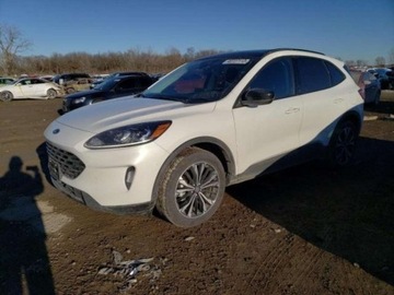 Ford Kuga III 2021 Ford Kuga 2021, 2.0L, 4x4, po gradobiciu, zdjęcie 1