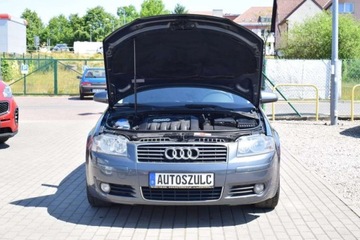 Audi A3 8P Hatchback 3d 1.9 TDI 105KM 2005 Audi A3 1.9 TDI, 3-drzwi, Sprowadzony, Ekonomi..., zdjęcie 13