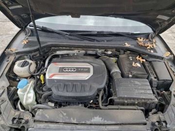 Audi A3 8V 2016 Audi S3 Premium Plus 2016 2.0l 2.0 Benzyna 292KM, zdjęcie 6