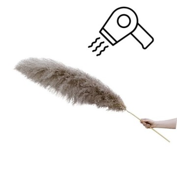 БУКЕТ СУШЕННАЯ ПАМПАССНАЯ ТРАВА БОЛЬШОЙ БЕЛЫЙ XXL 6 шт.