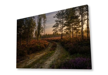 jesienny spacer - obraz na płótnie 50x70 cm
