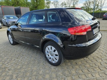 Audi A3 8P Hatchback 3d 1.6 102KM 2007 Audi A3 1,6 MPI Benzyna 102KM, zdjęcie 3