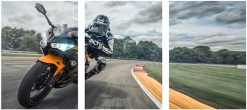 3x OBRAZ NA ŚCIANĘ NINJA 400 ORANGE 30x40