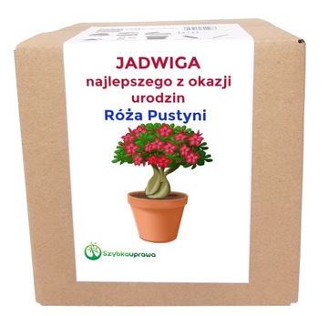Ekologiczny prezent zestaw uprawa urodziny JADWIGA