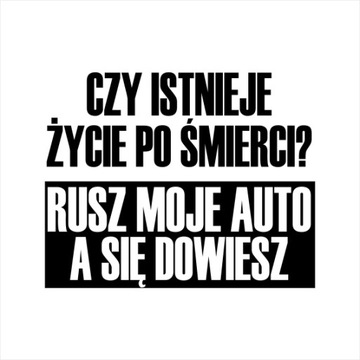 Naklejki na Samochód, Auto, Car Stickers 15cm W317