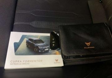 Cupra Formentor Crossover 2.0 TSI 190KM 2023 Cupra Formentor VAT 23 2.0TSI 190KM DSG 4drive 2023 r., salon PL I wlascic, zdjęcie 38
