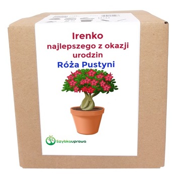 Ekologiczny prezent zestaw róża pu urodziny Irenka