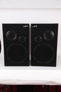 Колонки для мониторов Coral CX7