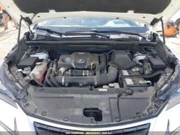 Lexus NX I 2020 Lexus NX 2020r., 4x4, 2.0L 2.0 Benzyna 235KM, zdjęcie 11