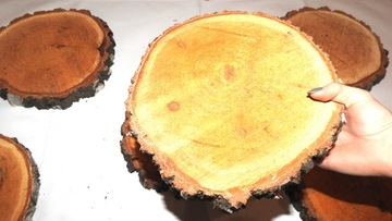 ДЕРЕВЯННЫЙ SLICE, ДИСК ДЛЯ БЕРЕЗОВОЙ ШТАМПЫ, 25-30 СМ, 1 ШТ.