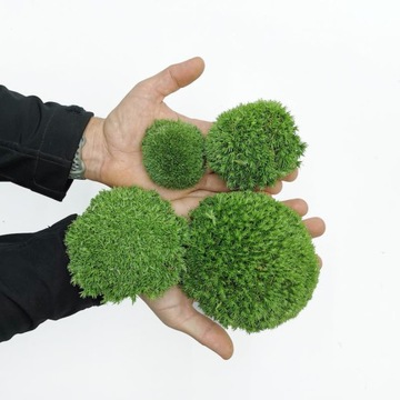 2 кг Подушка Мох средний зеленый Премиум