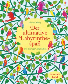 Der ultimative Labyrinthespaß: Mit über 250 Labyrinthe - Robson, Kirsteen