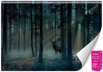 Fototapeta Rośliny Jeleń Słońce Tapety Ścienne 3D