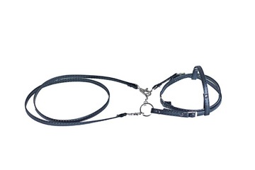 Западная уздечка - лошадь-любитель