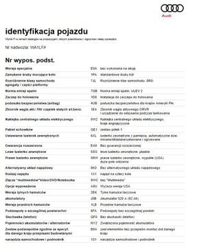Rozkodowanie VIN Decoder Dekoder Volkswagen Audi Skoda VAG