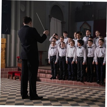 Аксессуары для улицы, 2 оркестровые палочки, поставка оркестровых палочек