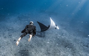 НАБОР РЕМНЕЙ ДЛЯ УСТАНОВКИ ПОДВОДНЫХ СКУТЕРОВ LEFEET S1 PRO ДАЙВИНГ СПОРТ