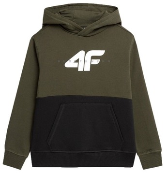 СВИТШОТ С КАПЮШОНОМ 4F ДЛЯ МАЛЬЧИКОВ AW23M628