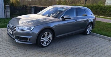 Audi A4 B9 2019 AUDI A4 B9 (8W2, 8WC) 50 TDI quattro 2019-08