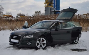 Audi A5 8T Sportback 2.0 TDI 143KM 2010 Audi A5 Sportback 2010r, 2.0 TDI, Automat, Skora, Xenon, Navi, Swietnie ut, zdjęcie 19
