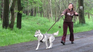 HIFICA LITE RUN PP Спортивная защита ремня безопасности, полная подкладка на заказ