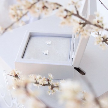 БОЛЬШАЯ СЕРЕБРЯНАЯ КОРОБКА ДЛЯ КОНВЕРТОВ + гламурные ОБРУЧАЛЬНЫЕ КОЛЬЦА