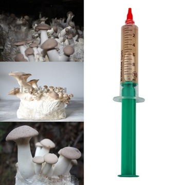 Grzybnia w płynie BOCZNIAK ERYNGII 10ml
