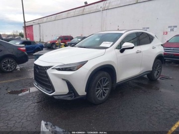 Lexus NX II 2024 Lexus NX 350h Premium 2024 2.5 Hybryda 189KM, zdjęcie 1