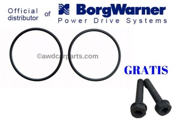 BorgWarner Oringi do pomp Haldex 5 i 6 generacji + Śruby pompy 5 gen GRATIS