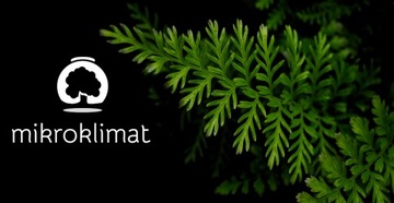 Бетонное покрытие Ø6см польского производства С ПОСВЯЩЕНИЕМ В ПОДАРОК ​​Зеленое