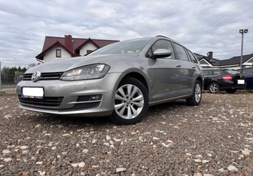 Volkswagen Golf VII Variant 1.6 TDI CR DPF BlueMotion Technology 105KM 2014 Volkswagen Golf 1.6D 105KM przeb.186tys ksiazka xenon zarejestrowany 1.6, zdjęcie 2