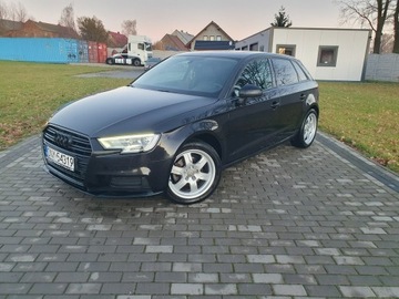 Audi A3 8V Sportback 5d Facelifting 2.0 TDI 150KM 2017 Audi A3 Sportback 2.0tdi 150KM S Tronic 2017r, zdjęcie 27