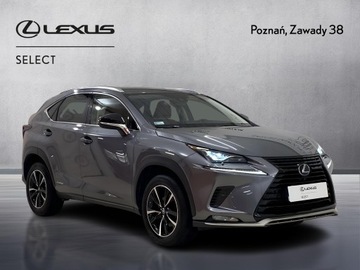 Lexus NX I SUV Facelifting 300h 197KM 2021 Lexus NX 300h F Impression AWD I (2014-2021) Lexus, zdjęcie 7
