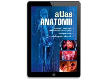 Атлас анатомии