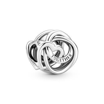 925 Srebro Charms Rodzina jest najważniejsza