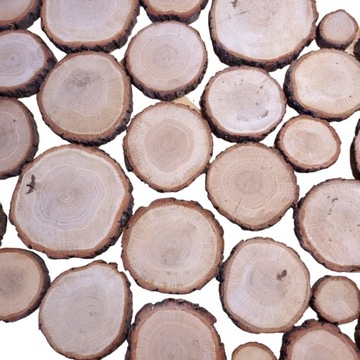 Plaster drewna dąb 10-13 cm grubość 1 cm 10 szt