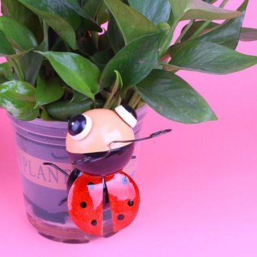 НАСТЕННЫЕ УКРАШЕНИЯ ЗУРАК 3D УКРАШЕНИЯ БОЖЬЯ КОРОВКА