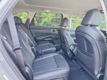 Kia Sorento IV 2025 Kia Sorento Sx 2025 2.5 Benzyna 281KM, zdjęcie 10