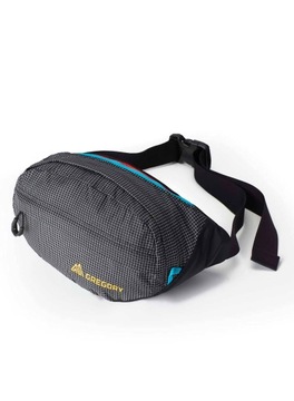 Saszetka Gregory NANO WAISTPACK techno black