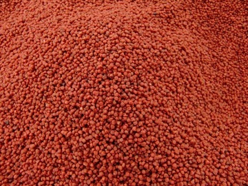 Pellet zanętowy Coppens 0,5kg - Red Halibut 2mm