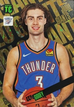 СТАРТОВЫЙ НАБОР АЛЬБОМА БАСКЕТБОЛЬНЫХ КАРТ NBA TOP CLASS 2024, 2 голографические гиганты