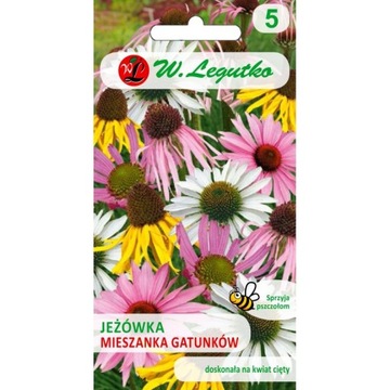 LEGUTKO ECHINACEA NASIONA JEŻÓWKA JEŻÓWKI MIX