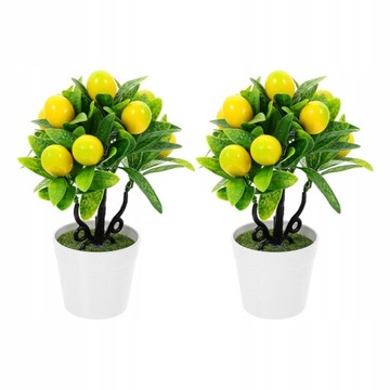 Mała cytryna drzewo w doniczce Lemon Tree sadzarka