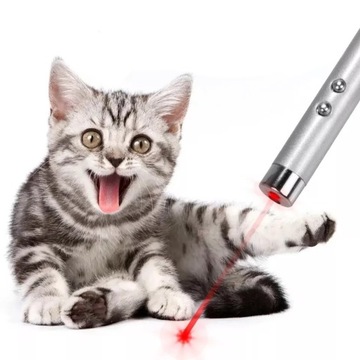 МАЛЕНЬКАЯ ЛАЗЕРНАЯ КРАСНАЯ ЛАЗЕРНАЯ УКАЗКА СИГНАЛИЗАЦИЯ ФОНАРИК ИГРУШКА ДЛЯ КОШКИ 2 В 1
