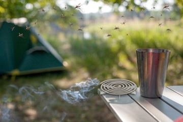 СПИРАЛЬНЫЙ РЕПЕЛЕНТ ОТ КОМАРОВ, МУХ, ОС, БЕЗ ВРЕДИТЕЛЕЙ (10 ШТ.)