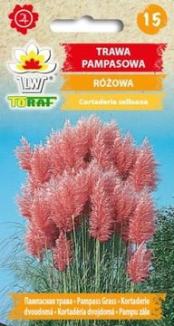 TRAWA Pampasowa NASIONA RÓŻOWA