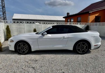 Ford Mustang VI 2021 Ford Mustang Ford Mustang Cabrio 2.3 Eco Boost 2.3 Benzyna 317KM, zdjęcie 25