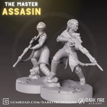 Модель Master Assassin подходит для игры StarWars Legion 2.